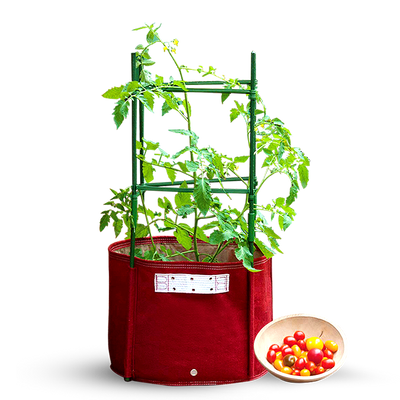 57L Maroon Big Tomato Fabric Planter (42 x 41cm) with Stacking Kit, Planter Pot,BloomBagz - greenleif.sg