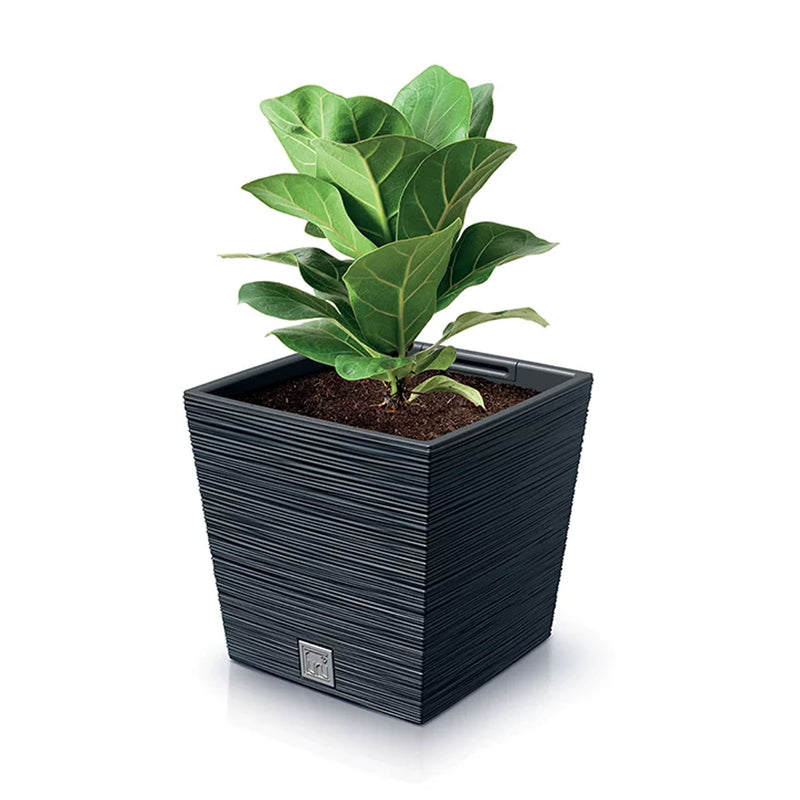 Furu Square Low Texture and Woven Flower Pot (240x235mm)