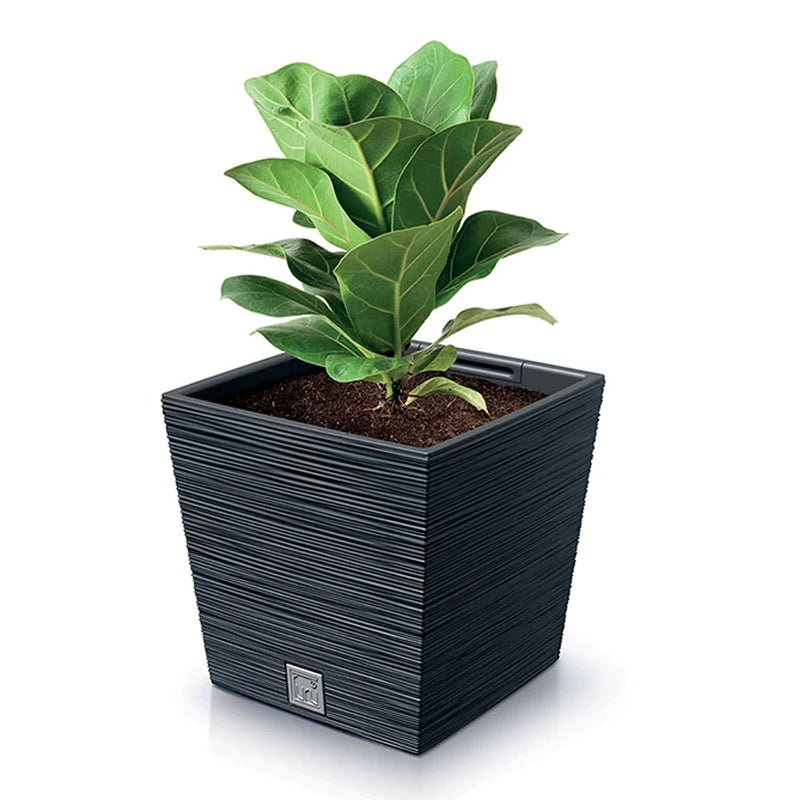 Furu Square Mid Low Texture and Woven Flower Pot (295x290mm)
