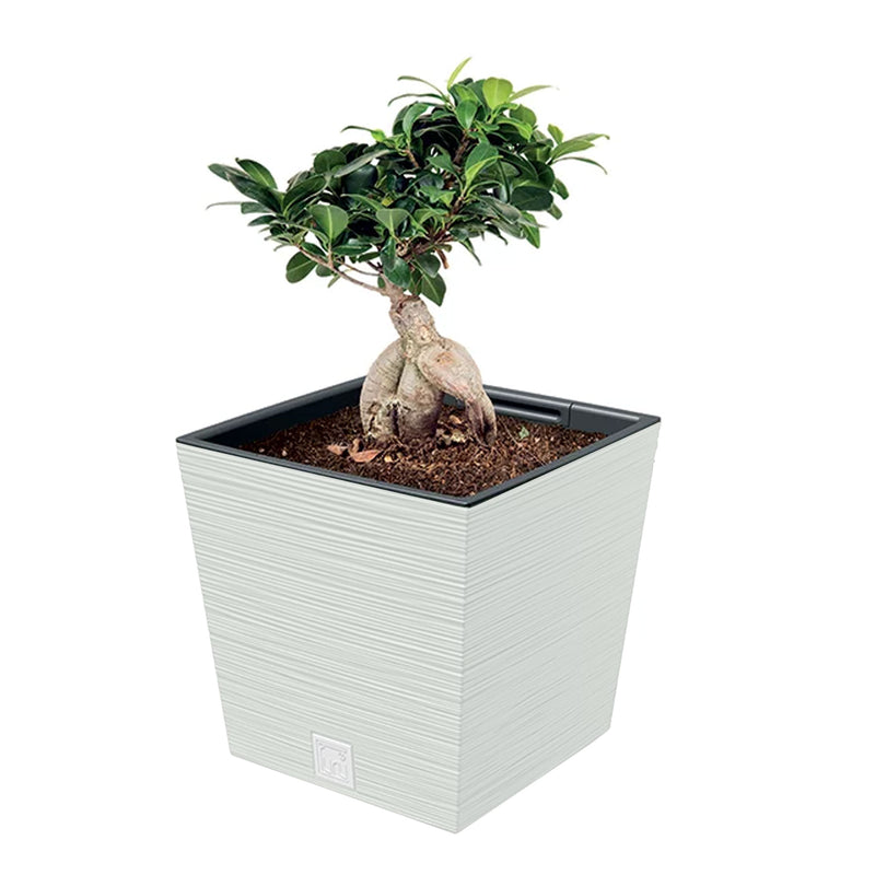 Furu Square Mid Low Texture and Woven Flower Pot (295x290mm)