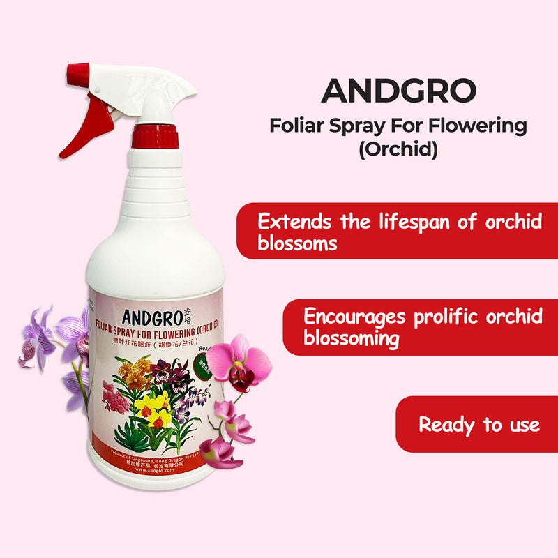 ANDGRO Orchid Formula Foliar Spray for Flowering (1 L)