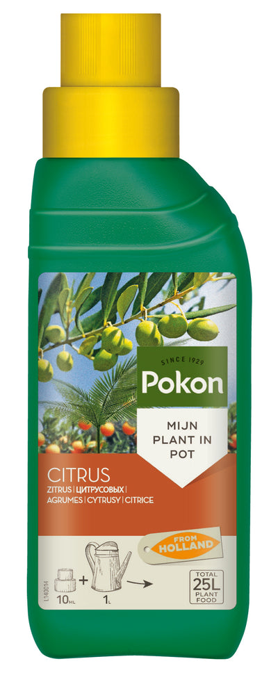 universal plant fertilizer Gardening Universal Plant Food / Fertilizer (500ml) – greenleif.sg