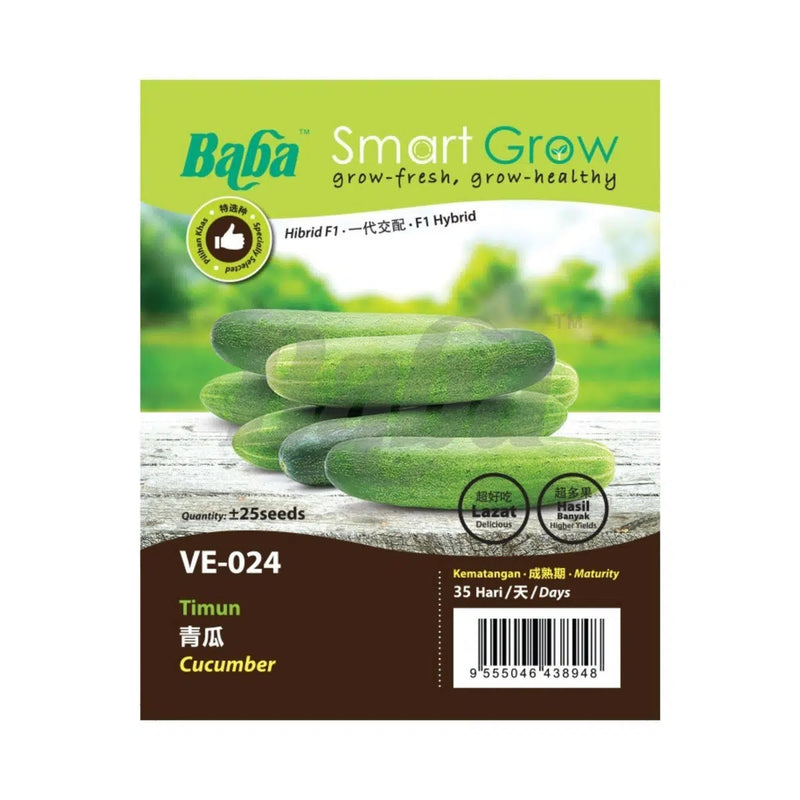 Cucumber Seeds VE-024 (25 Seeds)