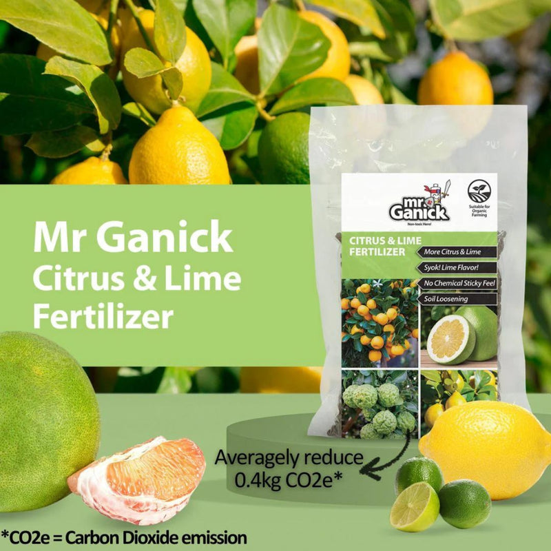 MR GANICK CITRUS & LIME FERTILIZER SF-8461 (400GM)