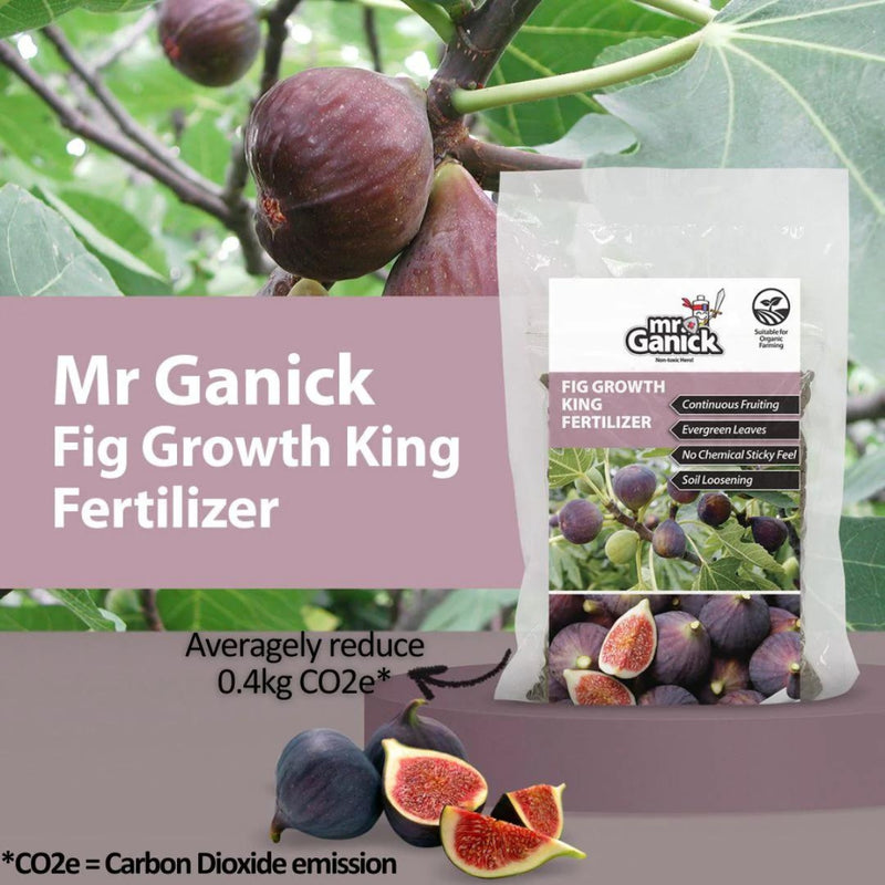 Mr Ganick Fig Growth King Fertilizer SF-8463 (400gm)