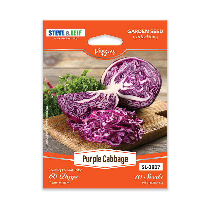Purple Cabbage Seeds