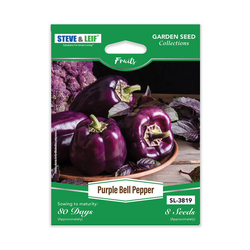 Purple Bell Pepper Seeds