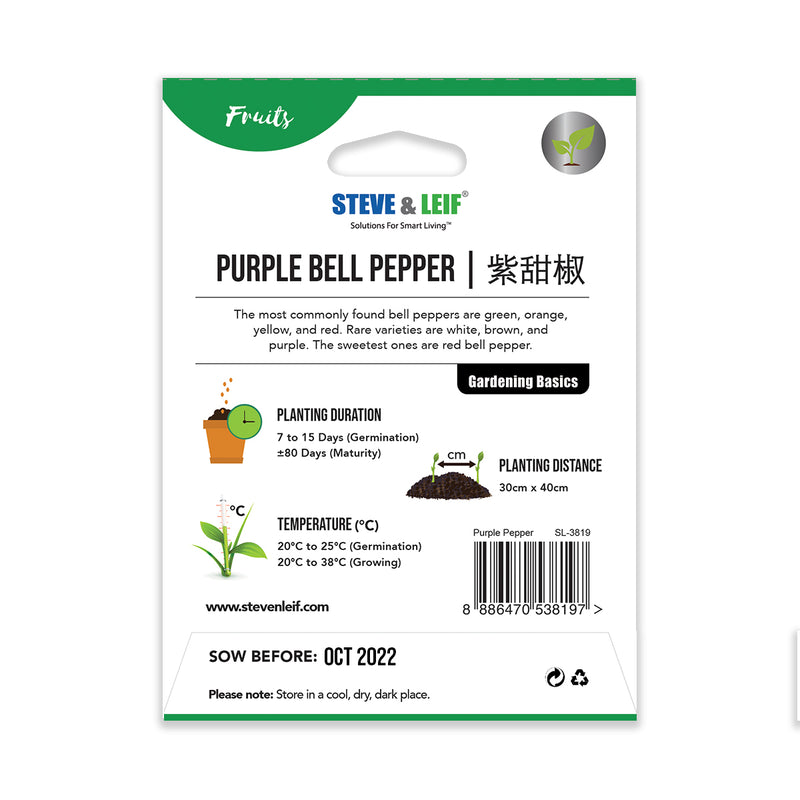 Purple Bell Pepper Seeds
