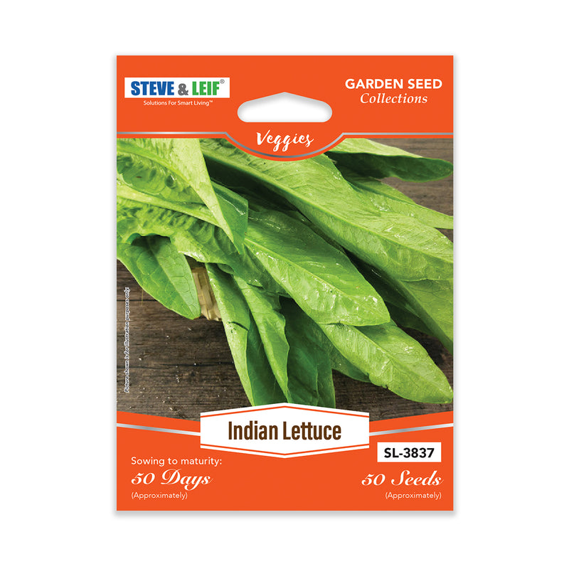 Indian Lettuce Seeds