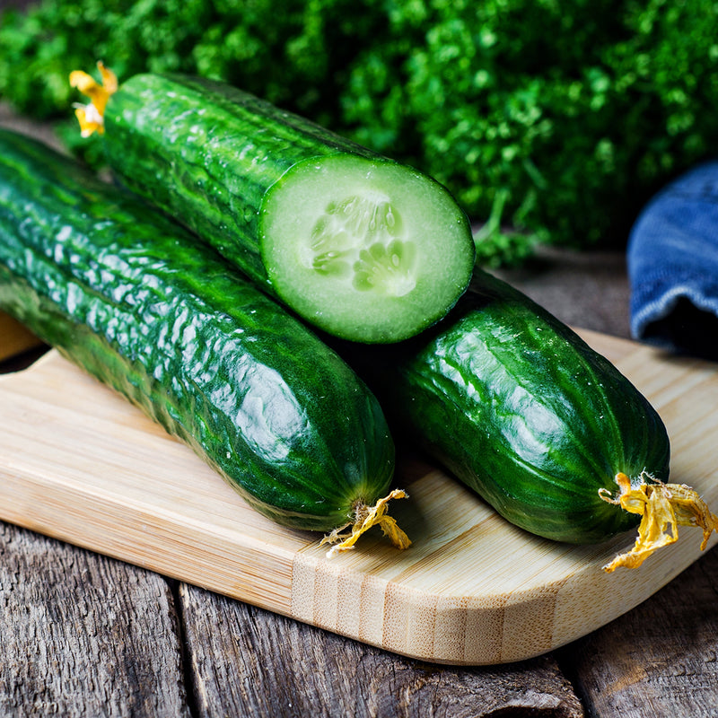 Holland Cucumber Seeds