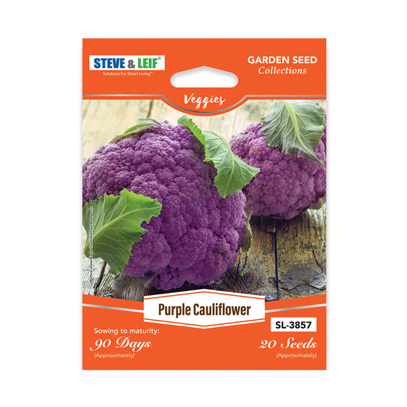 Purple Cauliflower Seeds