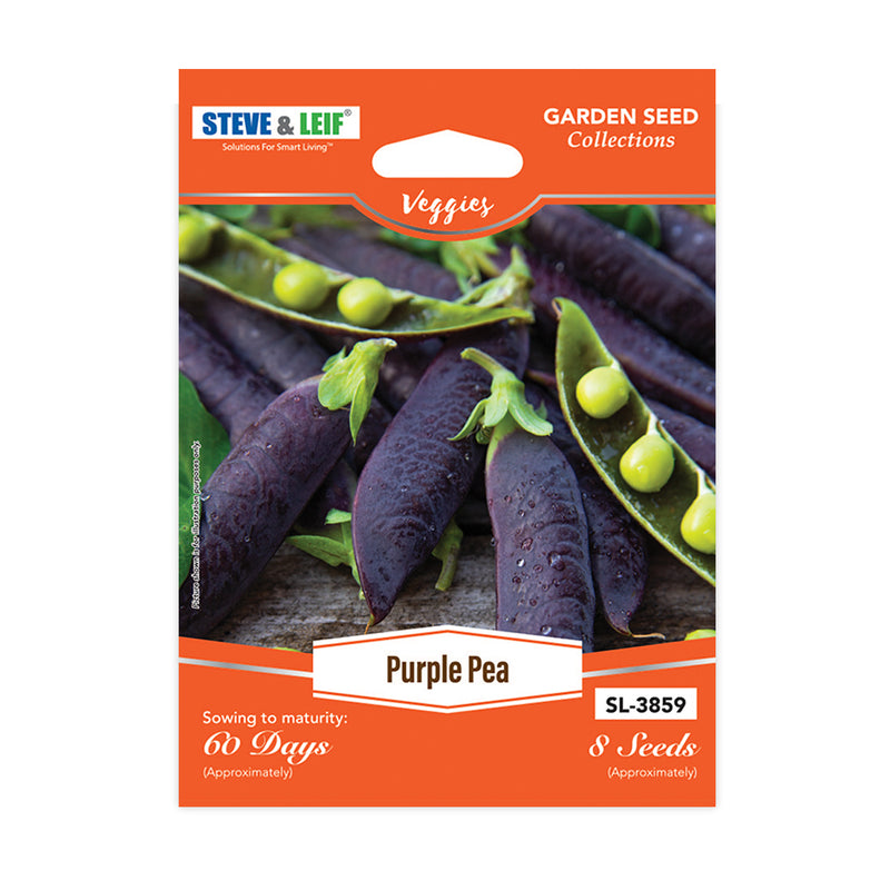Purple Pea Seeds