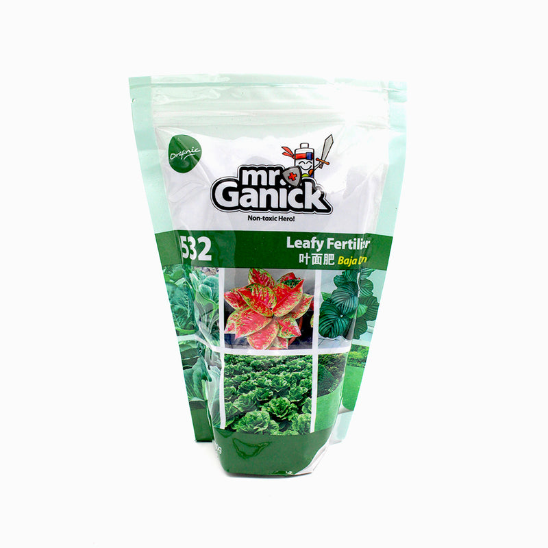 Leafy Vegetable Bundle Pack [Limited Stocks!]
