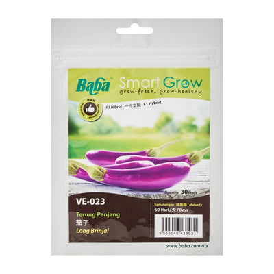 Hybrid Long Brinjal Seeds VE-023 (30 Seeds), Seeds,Baba - greenleif.sg