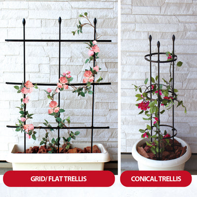 Multi Function DIY Gardening Fan Trellis Plant Support Ladder (90cm), ,Steve & Leif - greenleif.sg