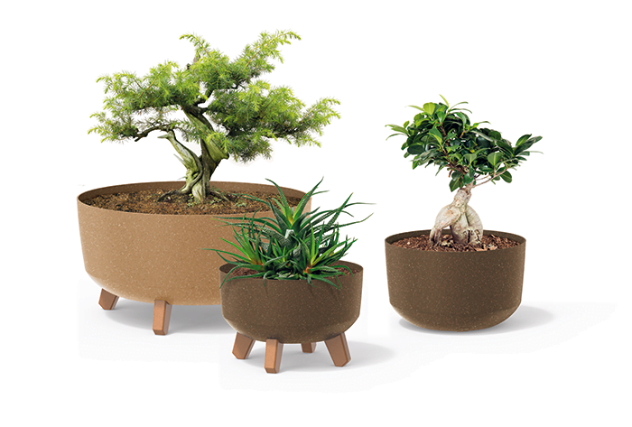 Gracia ECO Wood Low Flower Pot (235x155mm)