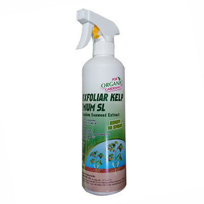 STARXFOLIAR Kelp Premium SL Fertilizer (500ml), ,Others - greenleif.sg