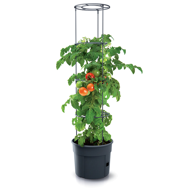 Tomato Grower Pot with Accessories (392x315mm)