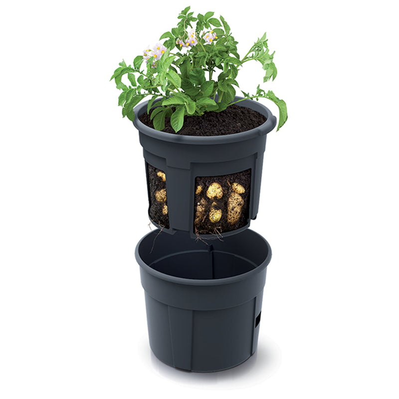 Potato Grower Pot (392x316mm)
