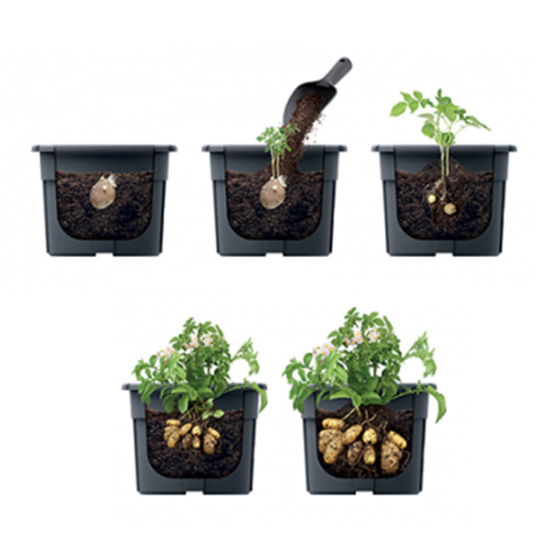 Sample Grower Pot Potato Grower Pot (392x316mm) – greenleif.sg