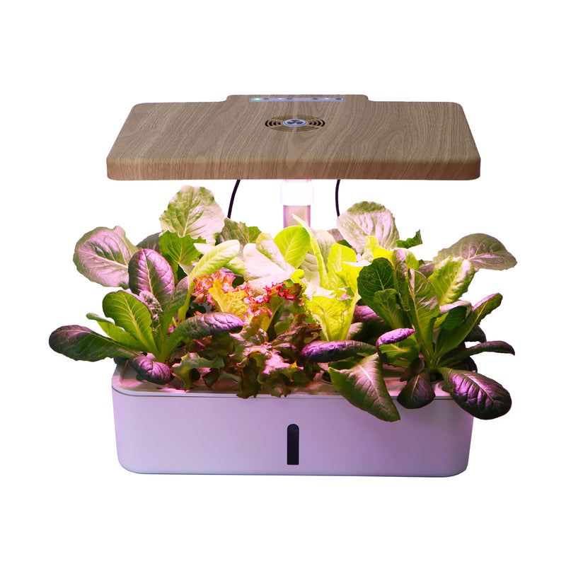 Dual Function Intelligent Seed Planter 12s