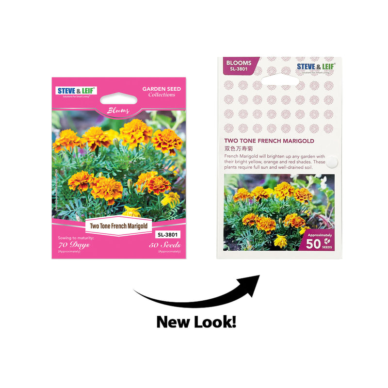 Two-Tone French Marigold Seeds