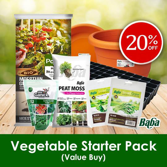 Vegetable Starter Pack [Limited Stocks!]