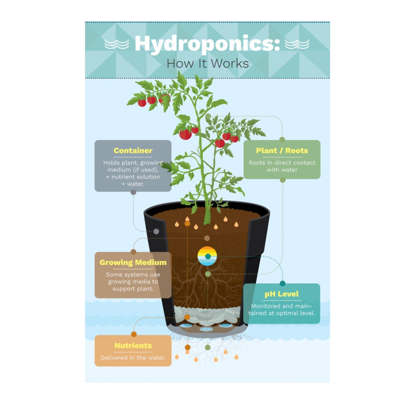 Hydroponics All-In-One Plant Food 2-1-6 (1 Ltr), ,Others - greenleif.sg