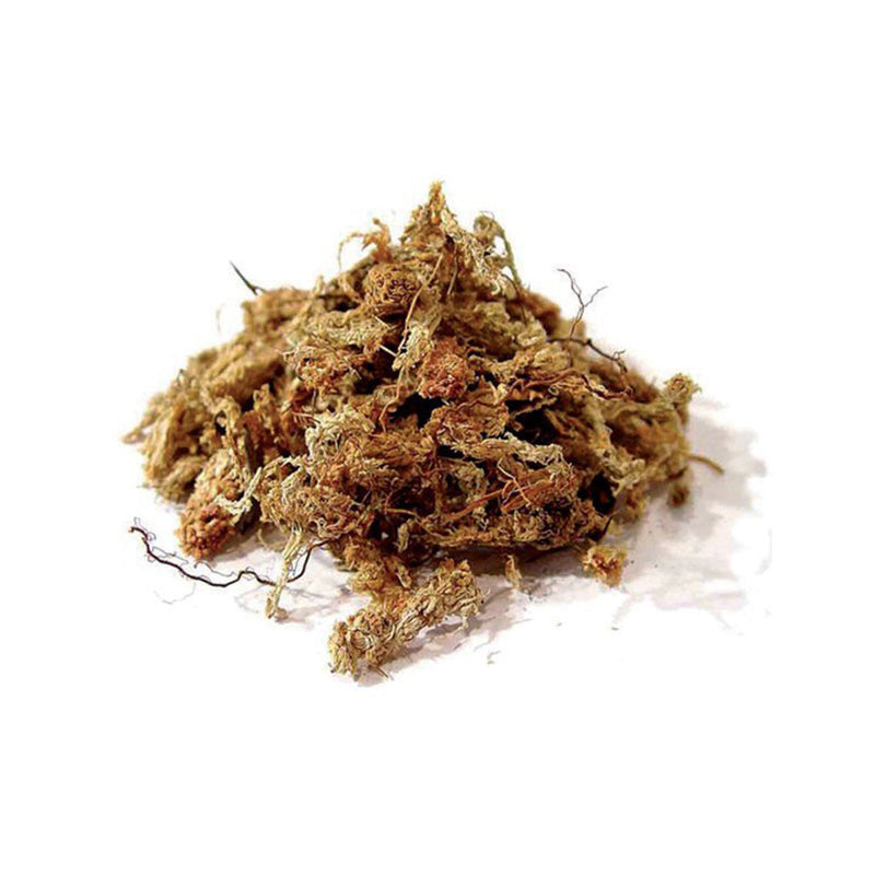 Chilean Sphagnum Moss (150g), ,Others - greenleif.sg