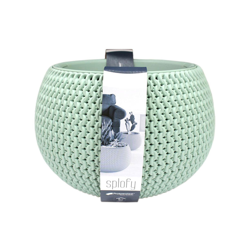 Splofy Bowl Basket Wave Pot (290x190mm), ,Prosperplast - greenleif.sg